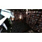 Midnight library