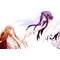 SAOハーレム計画