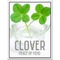 [V:4530]CLOVER☆ｸﾛ-ﾊﾞ-[V:4530]