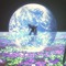 星のはざまで