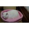 [D:F9E6] しゃべくり畑 [D:F9E6]