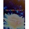 ＊CREATION FANTASY＊