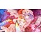 東方最強鬼畜妹