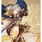 ナイツ★きっく騎士団
