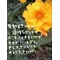 心に響いた名言集[V:4530]