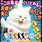 ｼﾞｮﾆの部屋( ´艸｀)