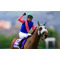 [V:4F4E]負けない競馬[V:4F4E]