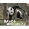 §空想旅団§
