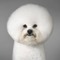 yukiさんと仲間達