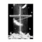 ∽†Resurrection†∽