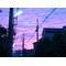 哲学