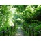 .*＊*PromeNaDe*＊*.