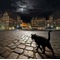 猫ノ目怪奇譚