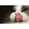 猫舌ですが？