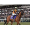 [V:4F4E]負けない競馬[V:4F4E]