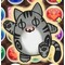 週刊パズドラ