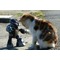 *ねこまる*