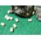 雀チキチキ猛レース