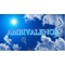 Blue Walkerサークル