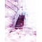[V:4F4E]画像の楽園[V:4F4E]