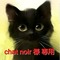 黒猫chat noir