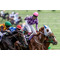 [V:4F4E]負けない競馬[V:4F4E]