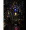 天桜夜蝶仲間の集い